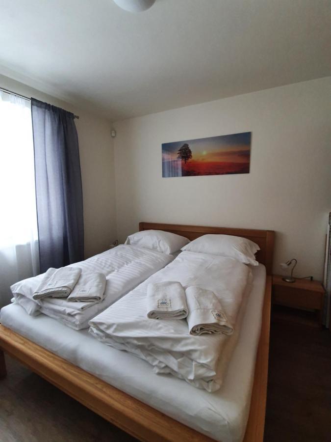 Apartman Praded V Rickach - Ricky V Orlickych Horach Exterior photo